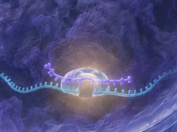 Inside the nucleus, among chromatin, RNase H1 on a gapmer paired with a long non-coding RNA, which is cut at the enzyme; the gapmer stays whole.