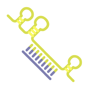 AUMlnc™ lncRNA Knockdown