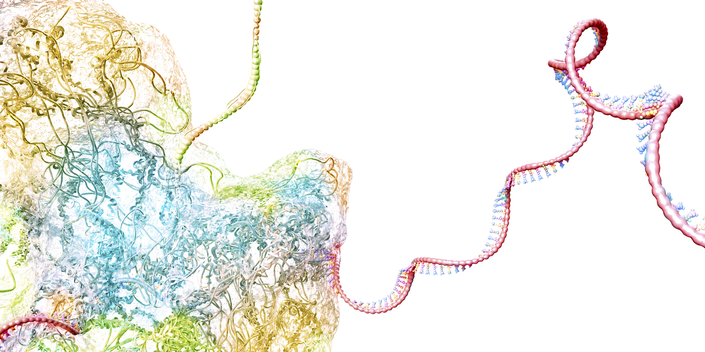 AUM Biotech RNA Technology